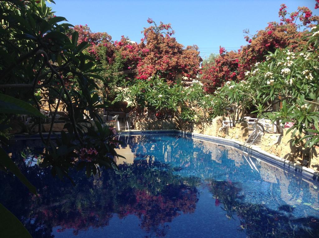 Roman Boutique Hotel Paphos Ngoại thất bức ảnh